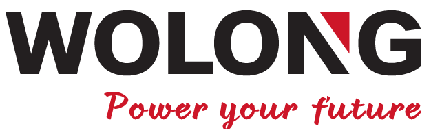 Wolong logo